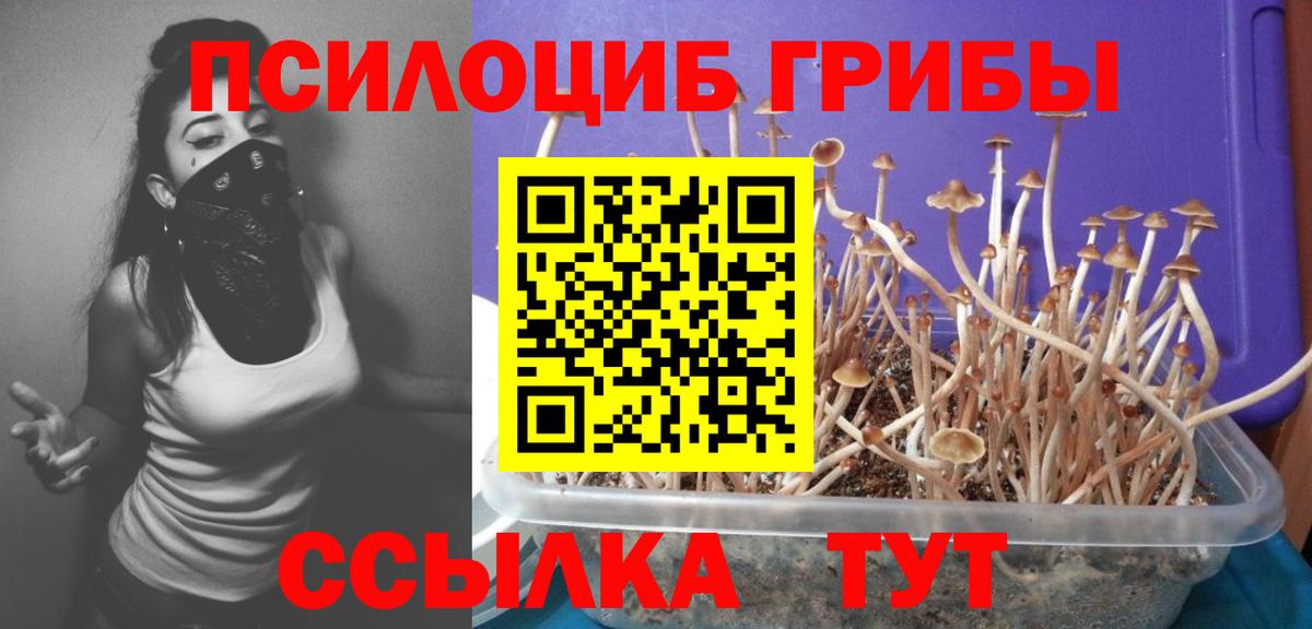 Ступино  Галлюциногенные грибы Magic Shrooms  Вход с VPN 